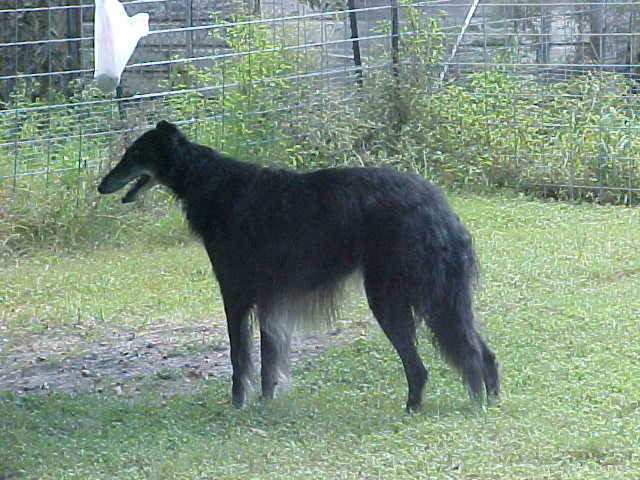 Sart standing Oct. 2007